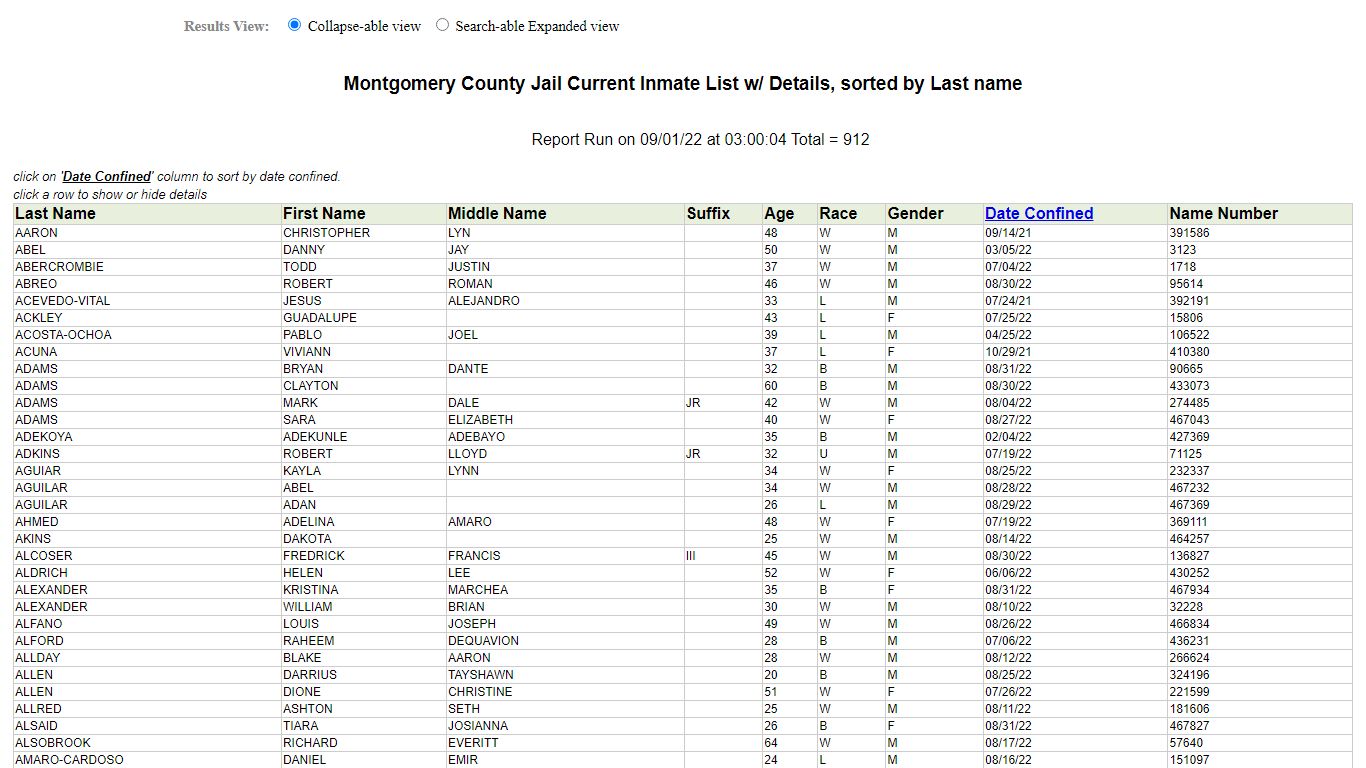 Jail Roster